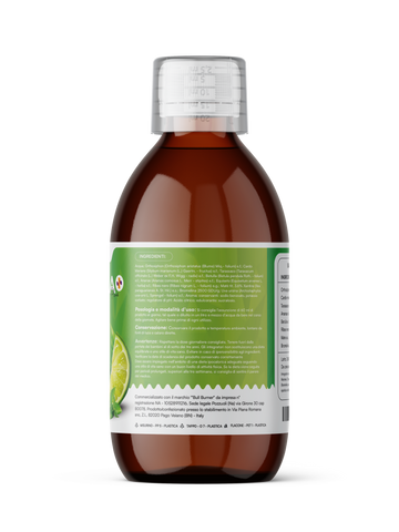 DRAINS+ MENTHE ET LIME